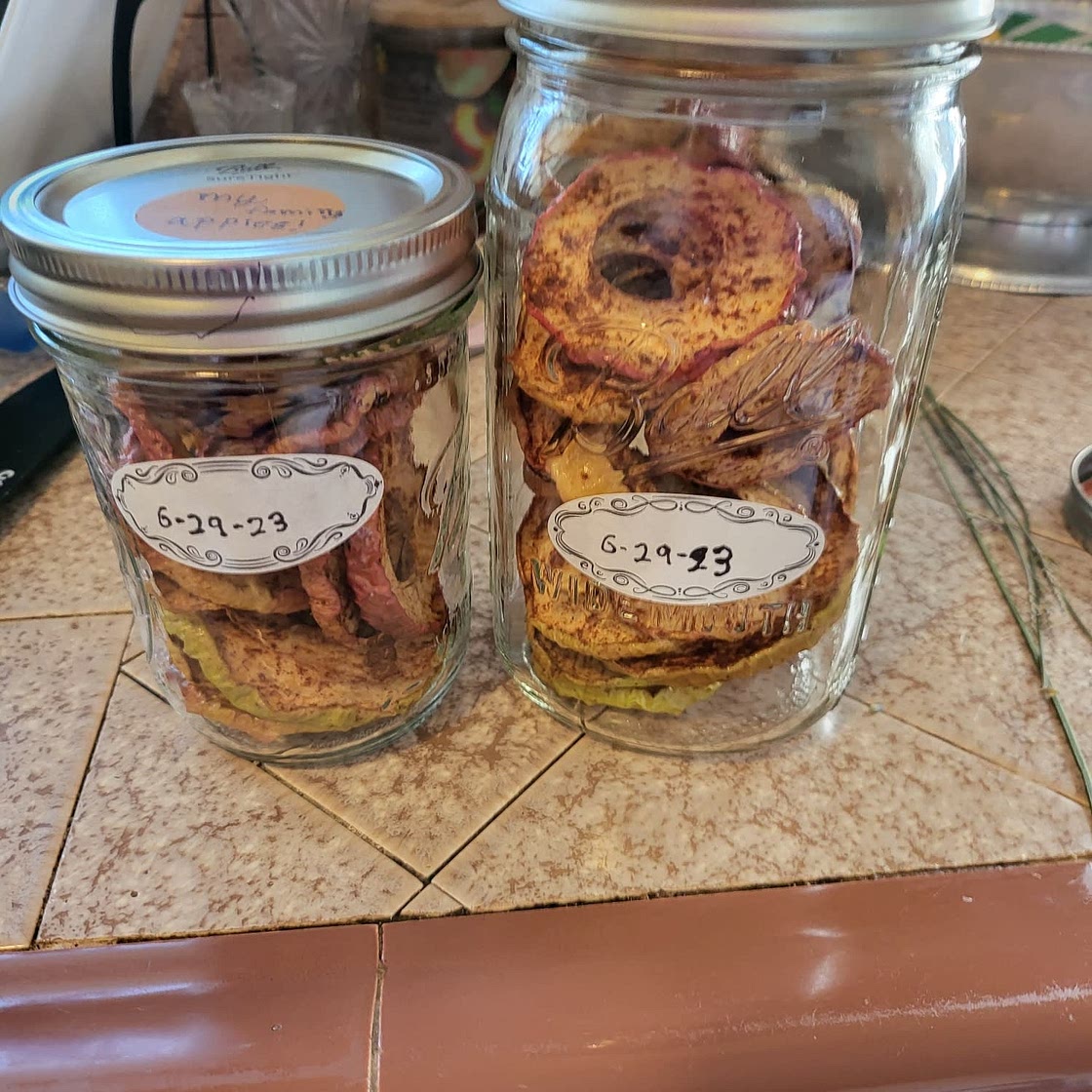 Dehydrated Cinnamon Apples Recipe