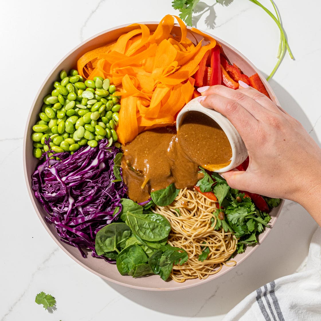 Vegan Rainbow Peanut Noodles