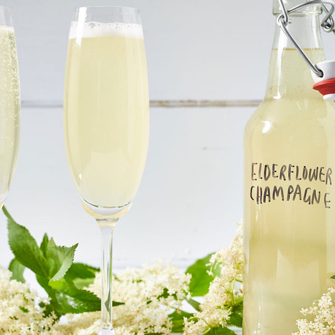 Elderflower champagne
