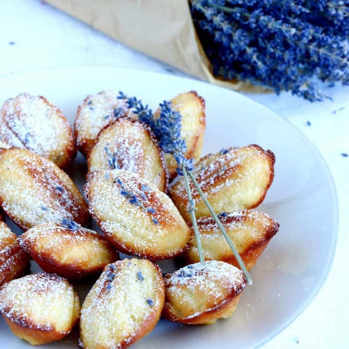 Lavender Honey Madeleines