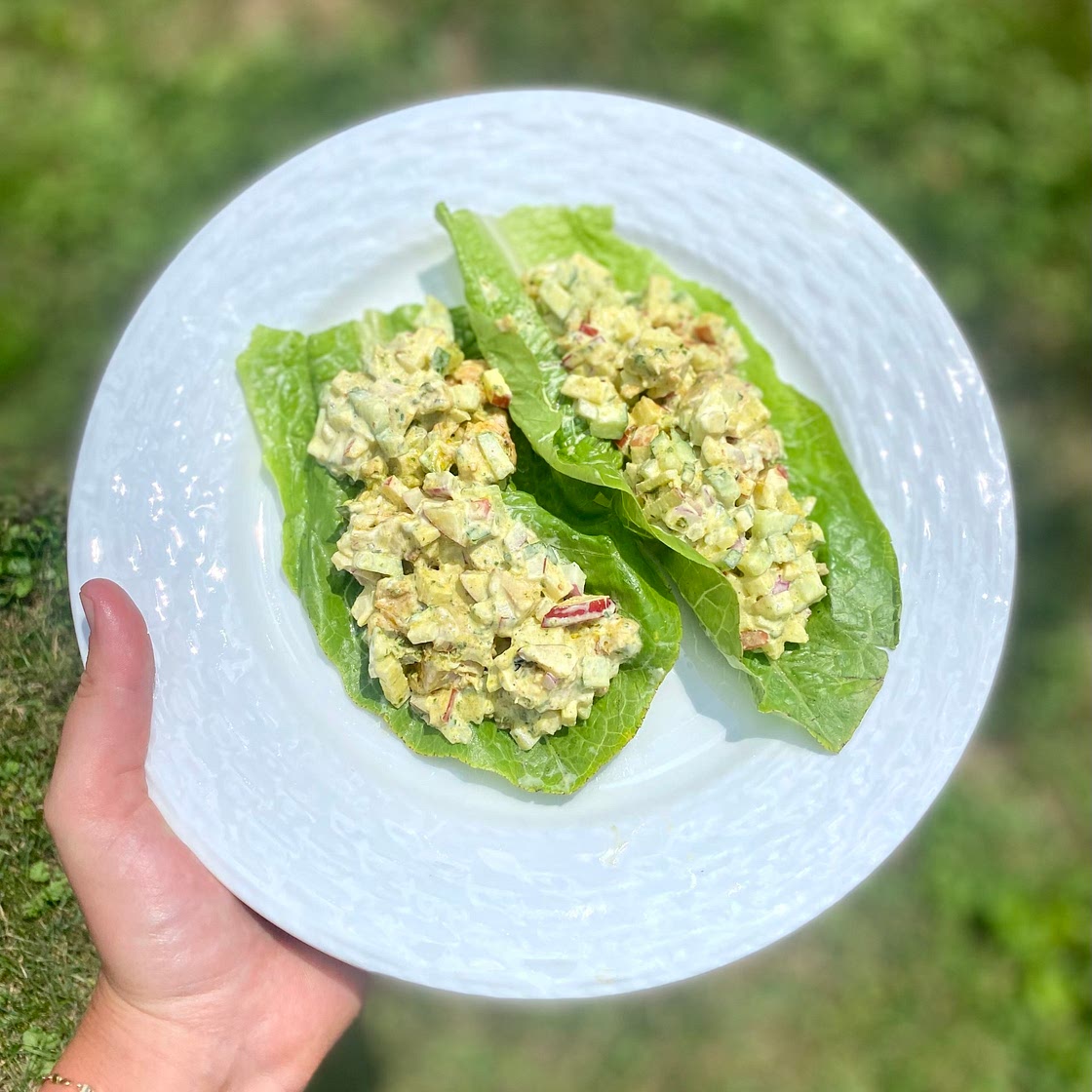 Chicken Salad Crunch 