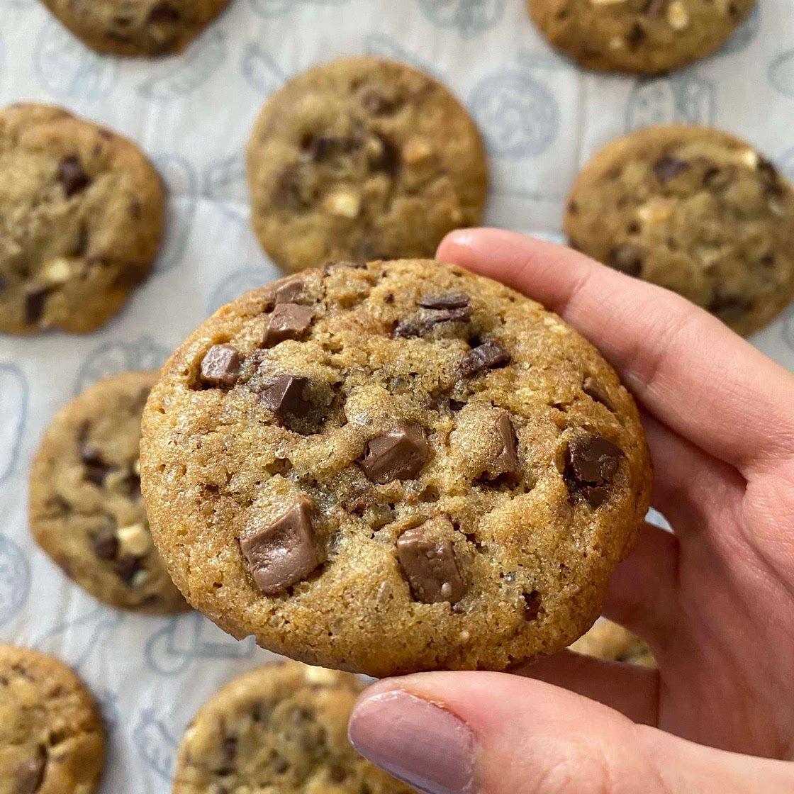 best chocolate chip cookies 