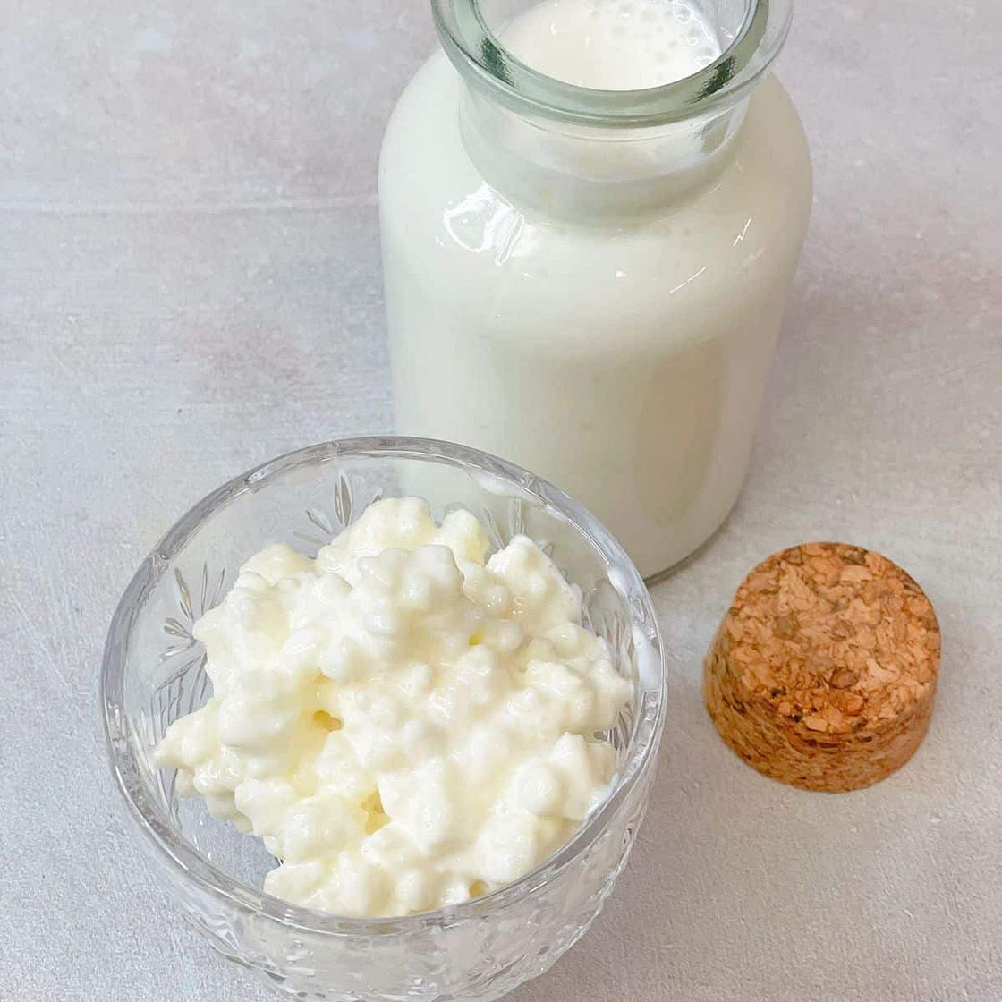 Homemade Delicious Creamy Yogurt Kiefer