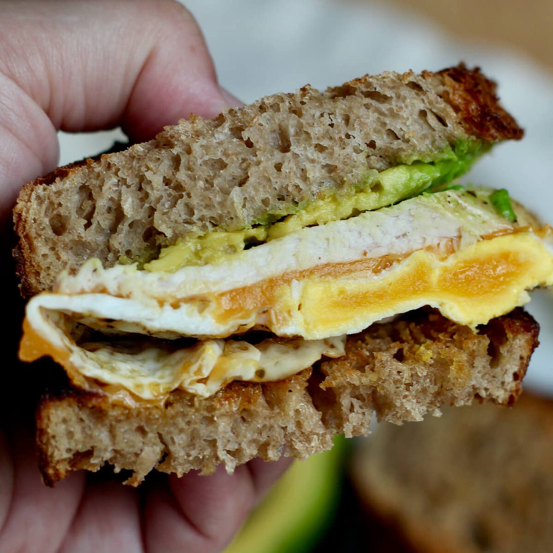 Turkey and Egg Sandwich