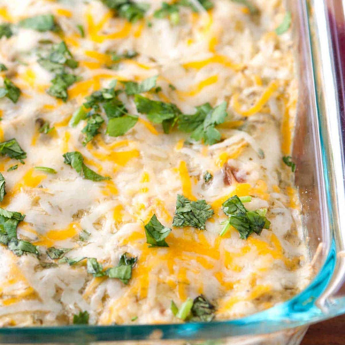 Chicken Enchilada with Green Sauce