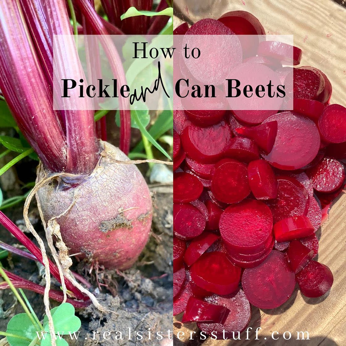 Pickled & Canned Beets