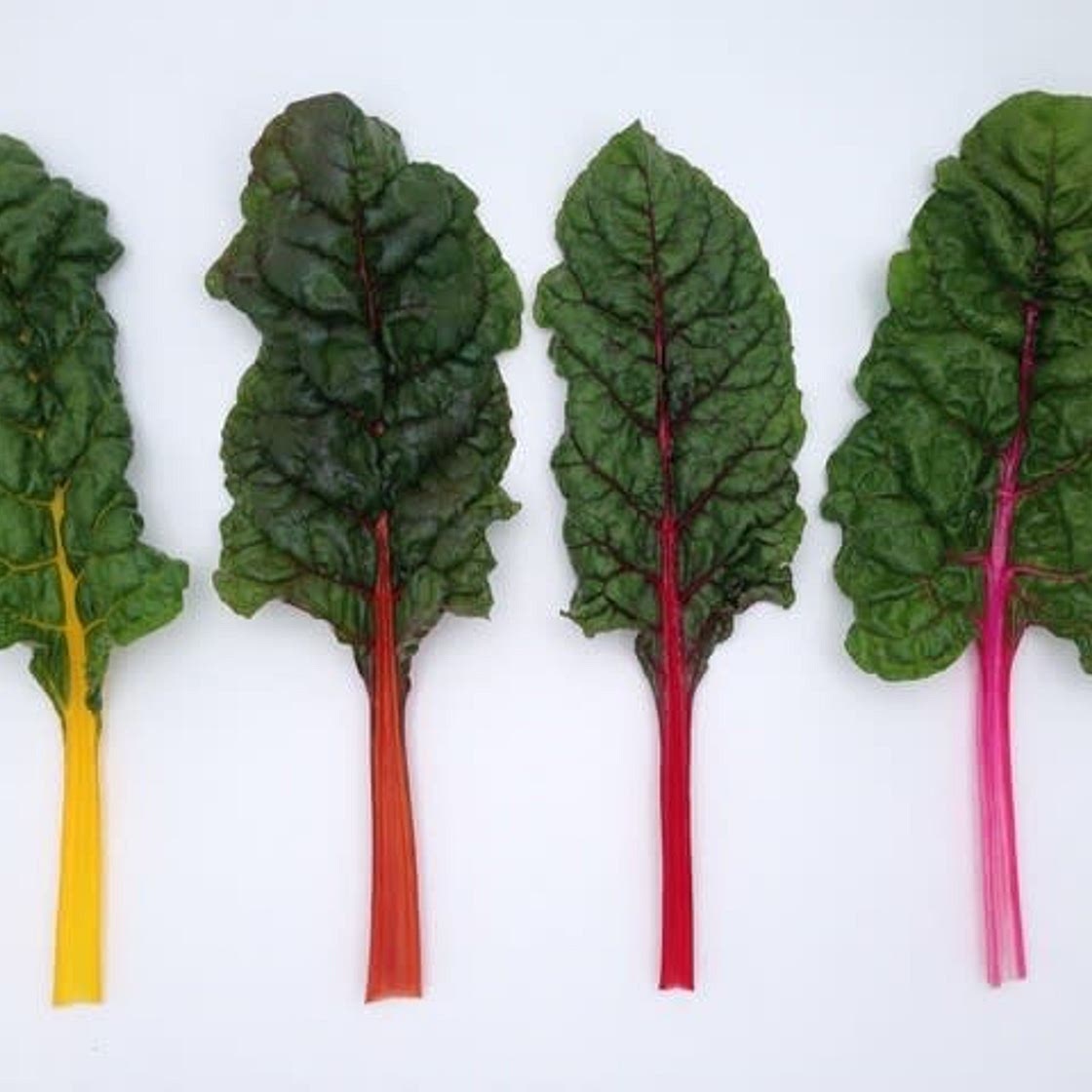Chilled Rainbow Chard with Lemon and Olive Oil