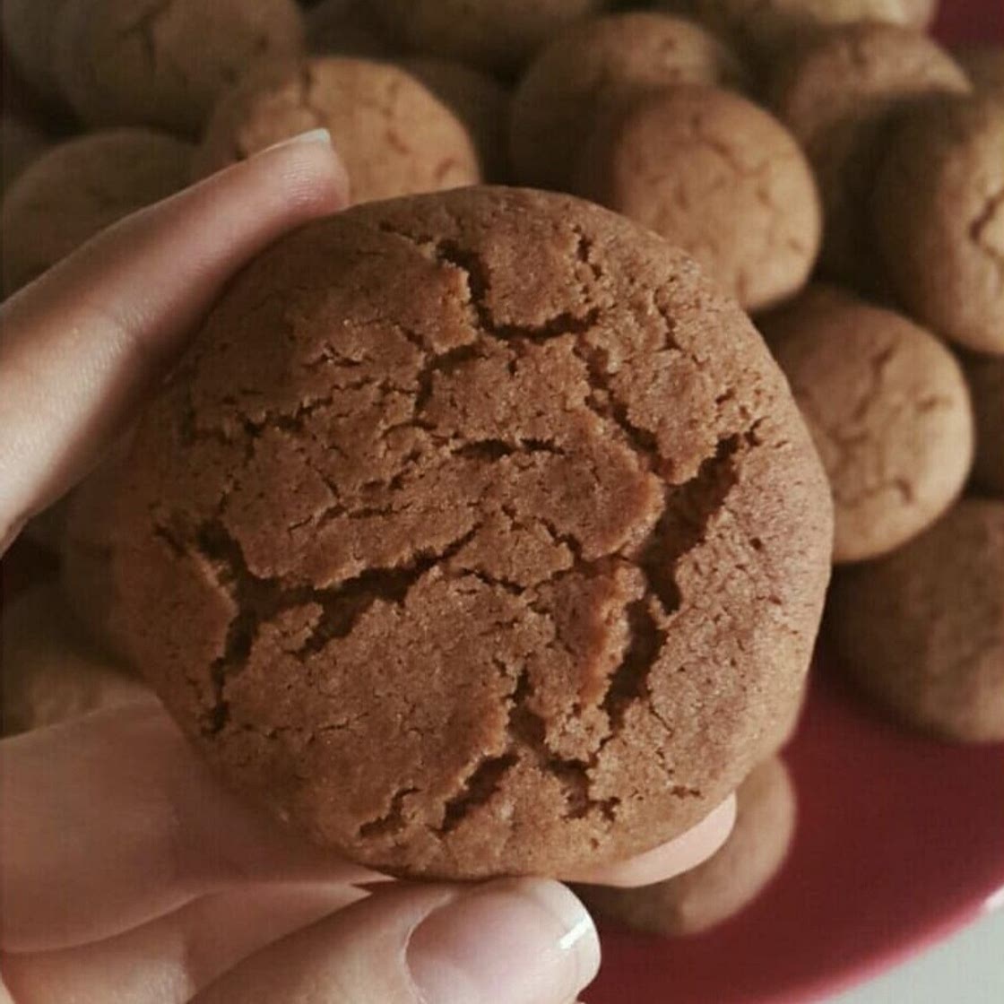 Cinnamon Walnut Cookie