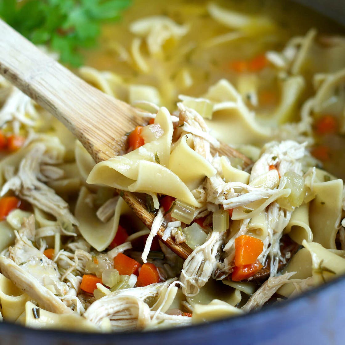 Dutch Oven Chicken Noodle Soup