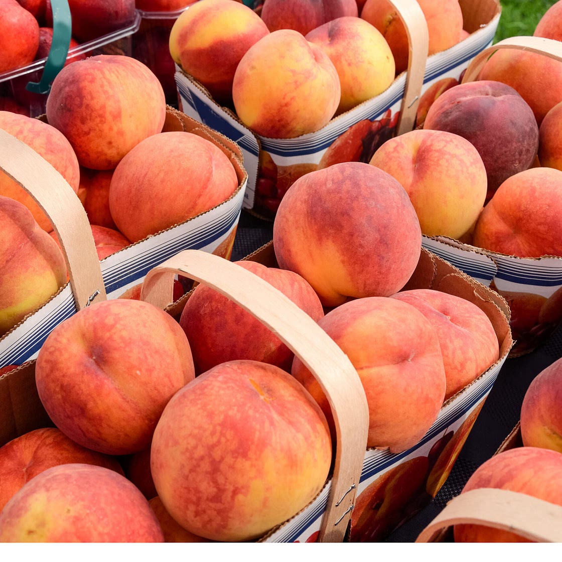 Peach Bellini Popsicles