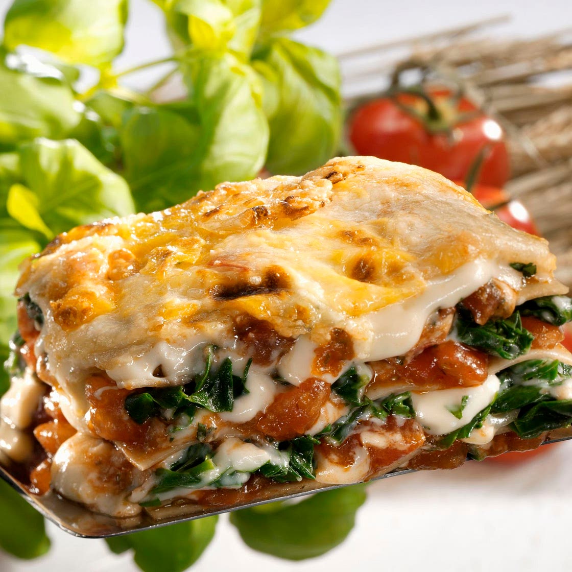 Childhood Lasagne