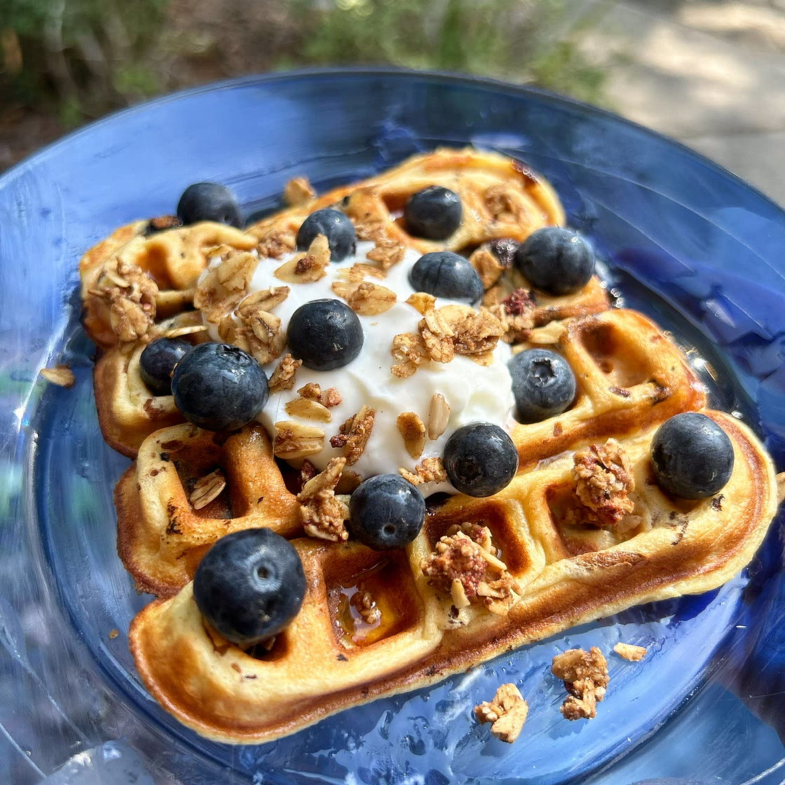 Wild Blueberry Protein Waffle 