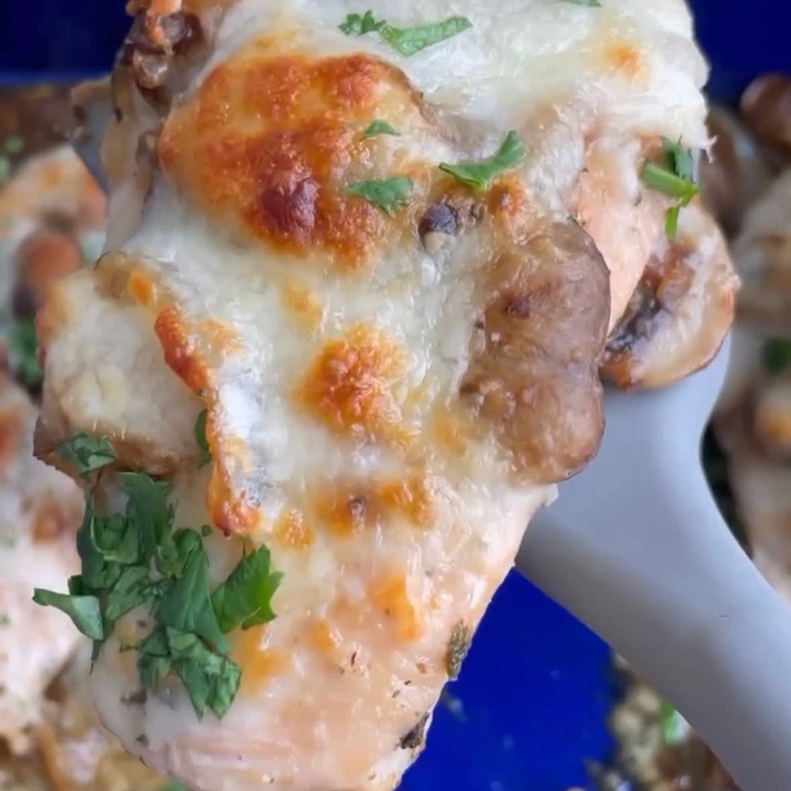 Cheesy mushroom chicken