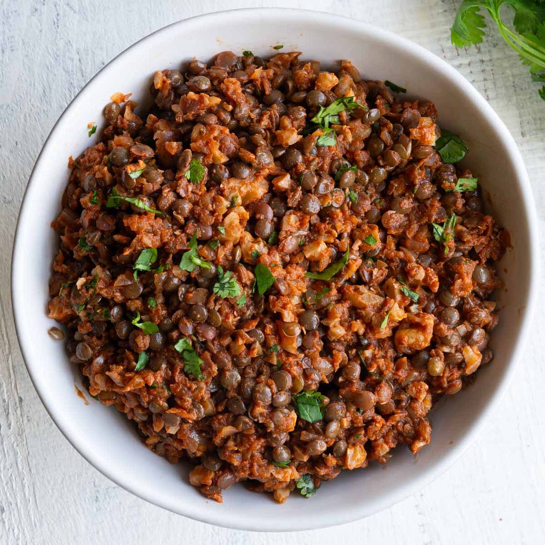 Vegan Walnut Taco Meat