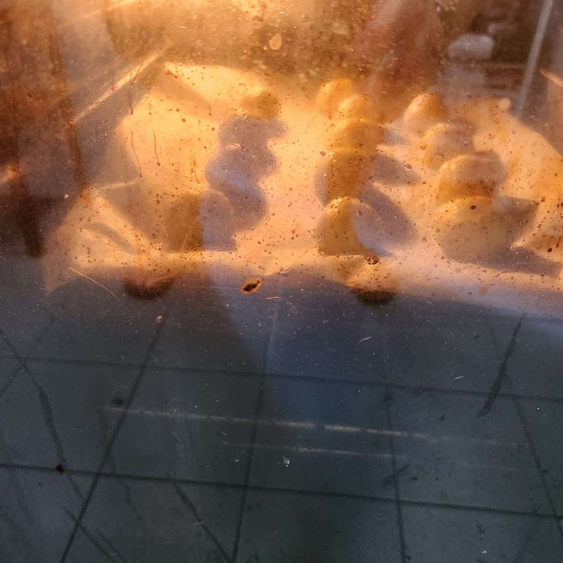 Brazilian Cheese Bread