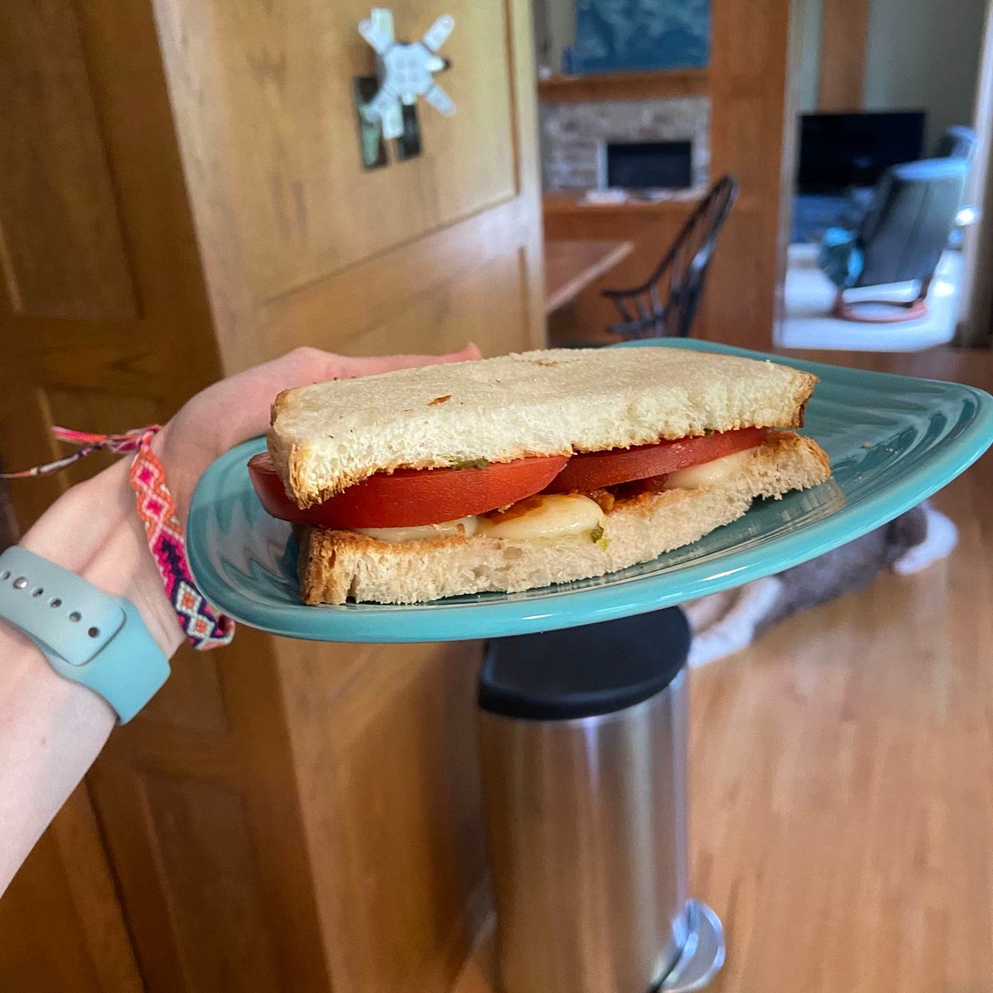 Tomato Sandwich 