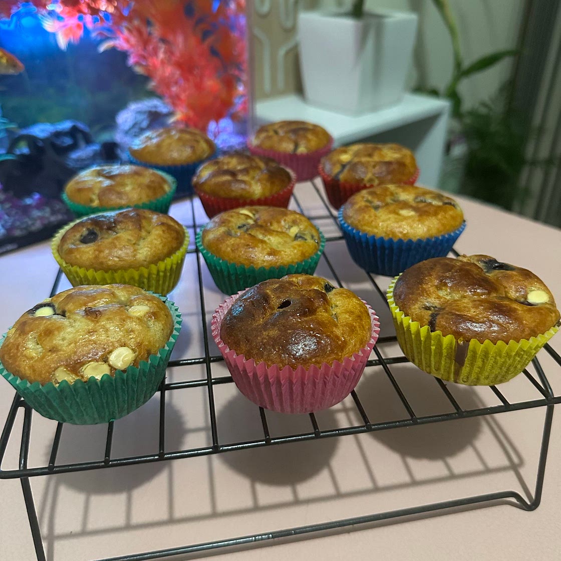 Blender protein blueberry & white choc chip muffins 