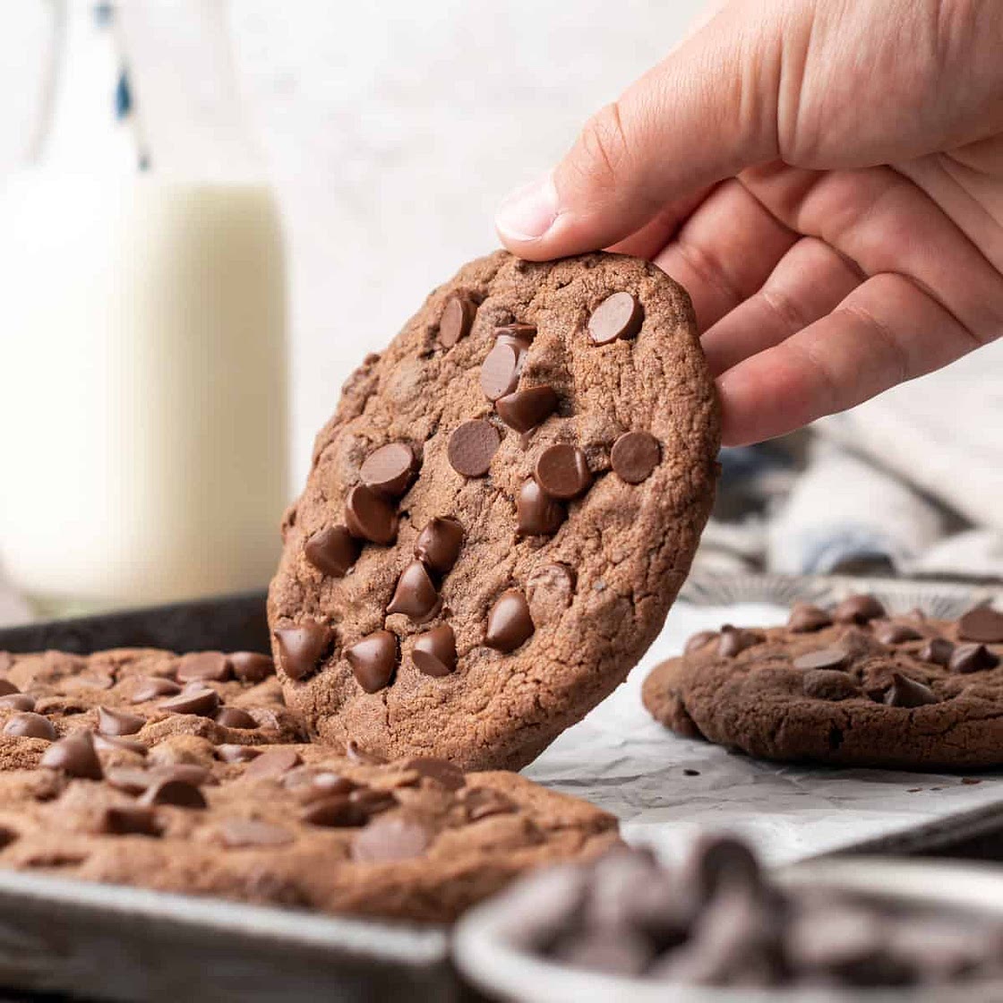 Gluten Free Double Chocolate Chip Cookies