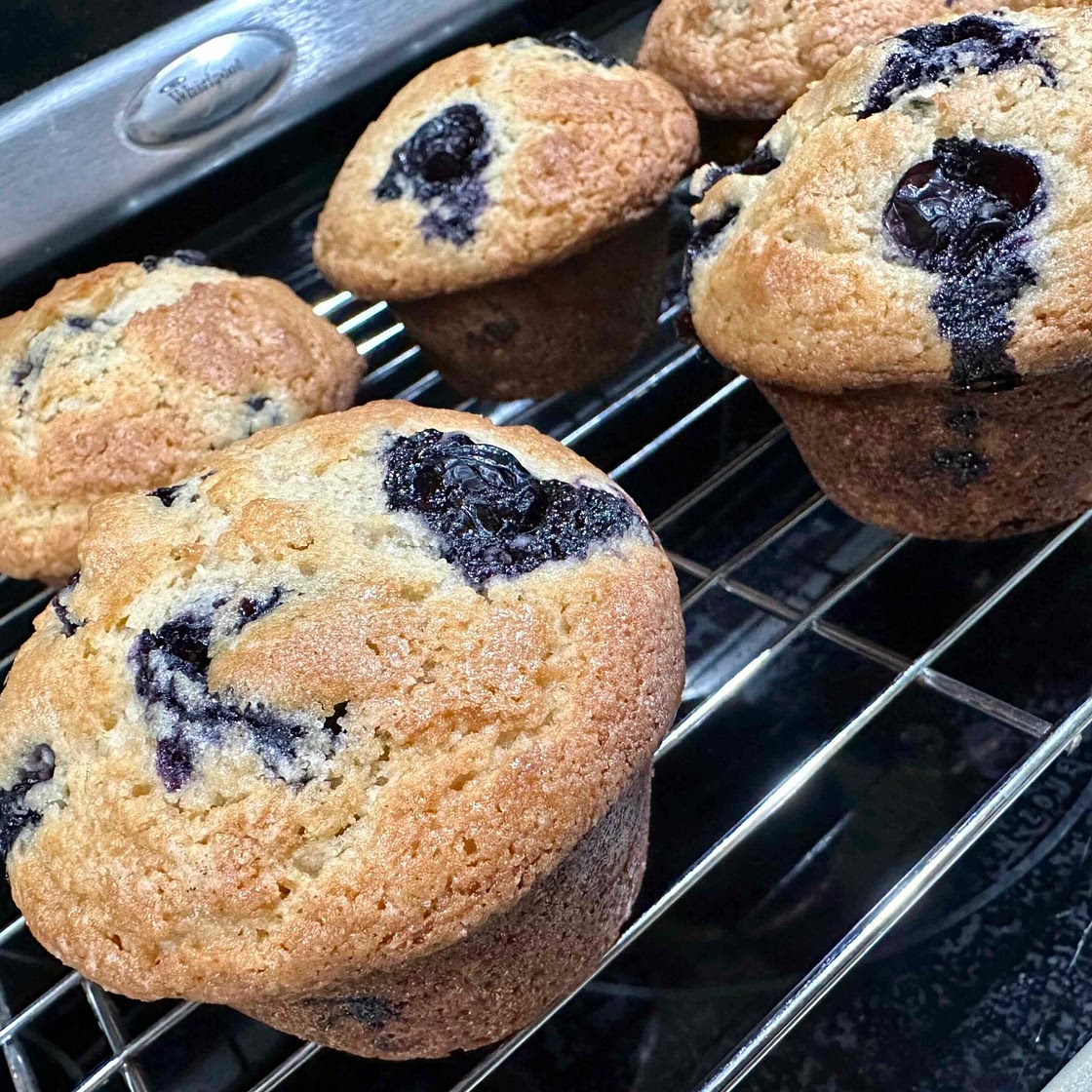 Blueberry Muffins