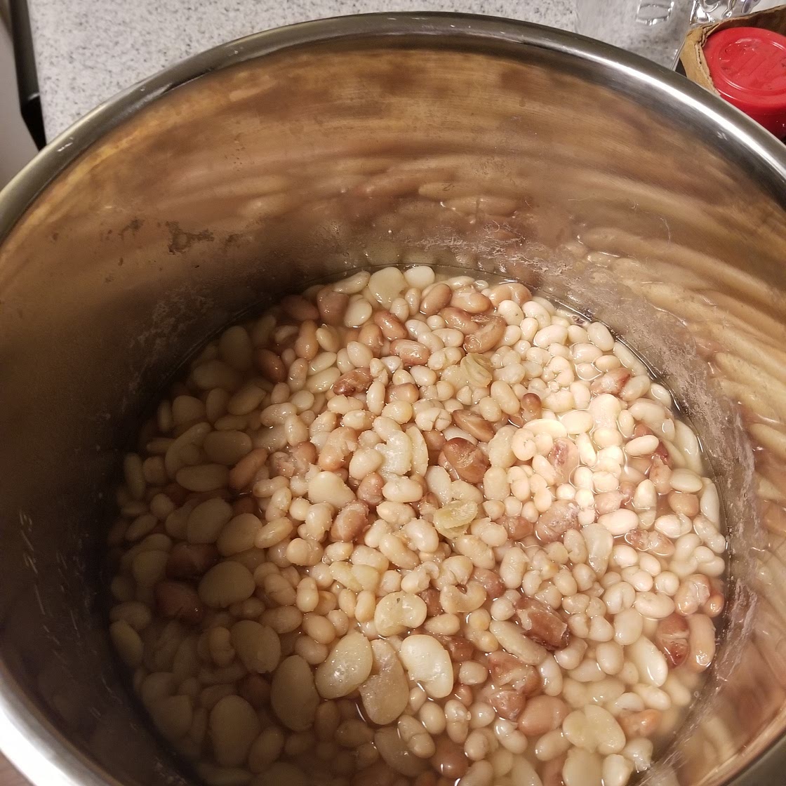 Justin's simple Instant Pot beans!