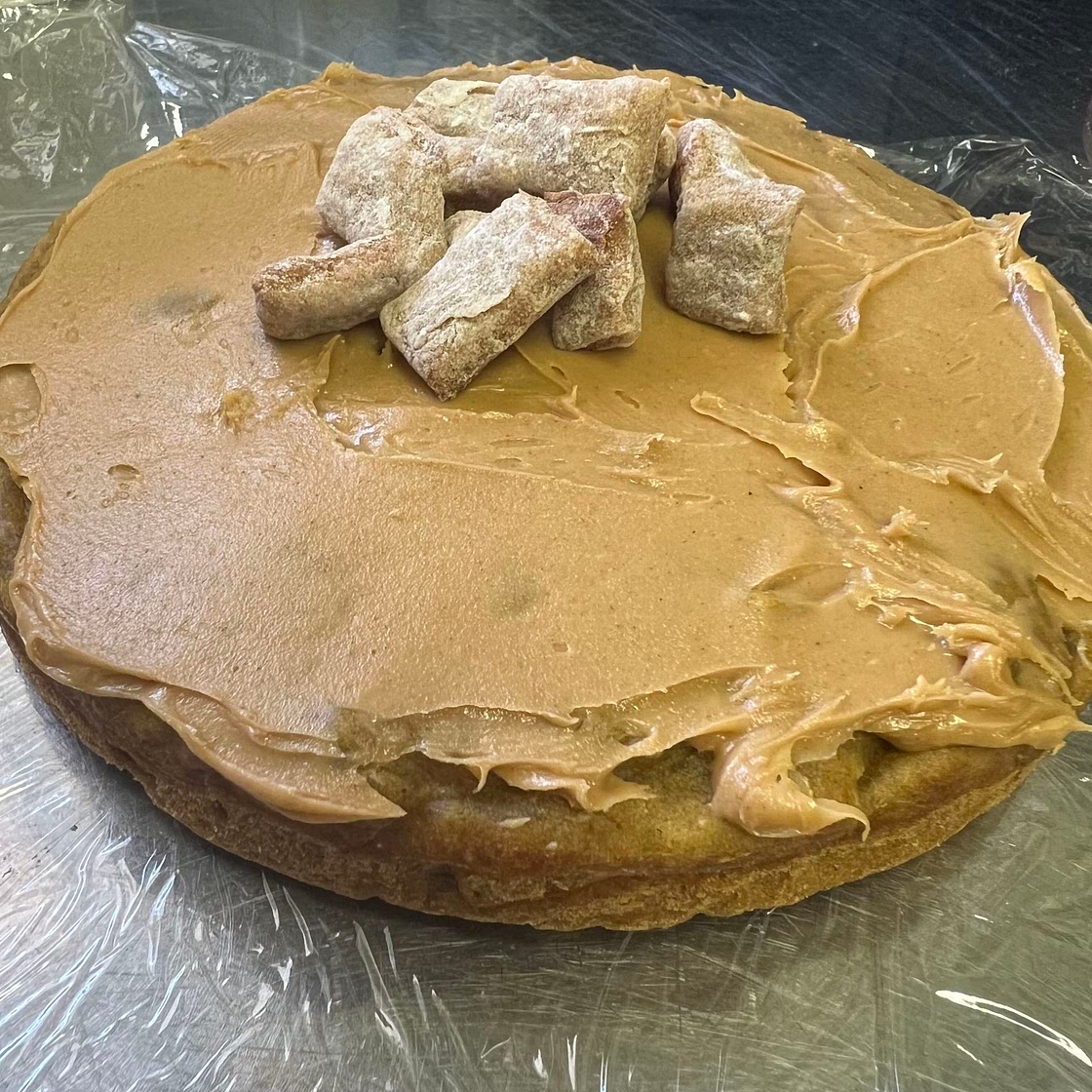 Healthy Doggie Birthday Cake 