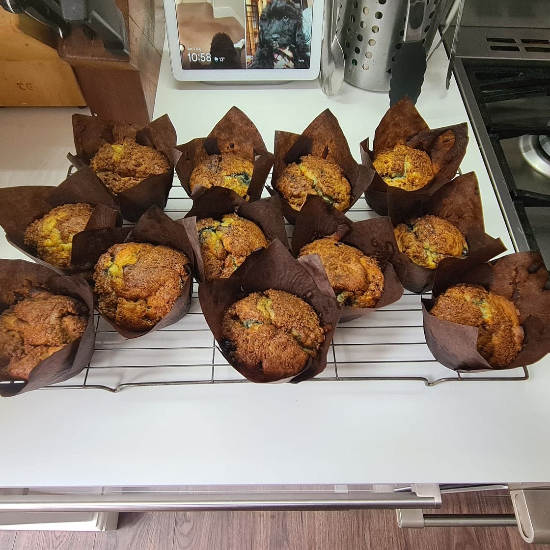 Blueberry Muffins