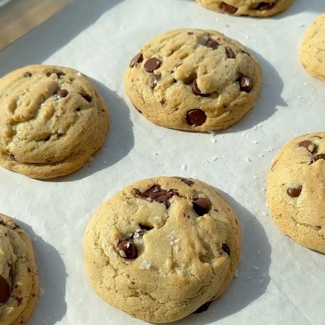Olive Oil Chocolate Chip Cookies