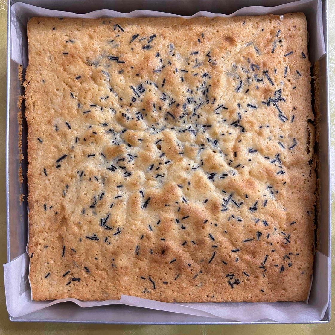 Chocochip Butter Cake 