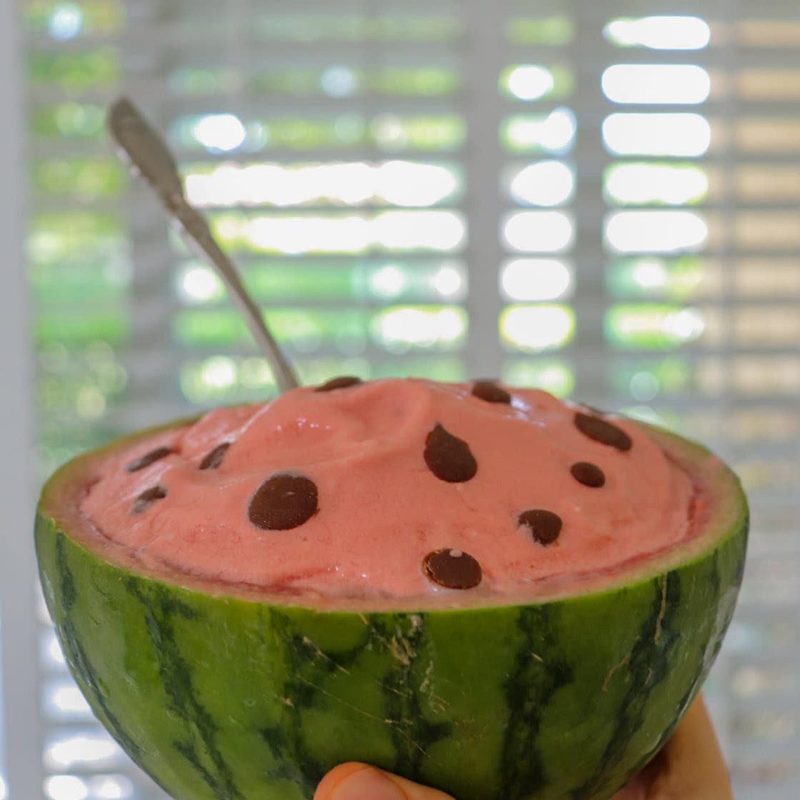 Disney's Watermelon Whip (3 ingredients & vegan)