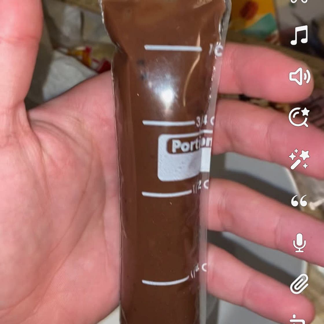 Vegan Chocolate Coconut Cream Ice Cream