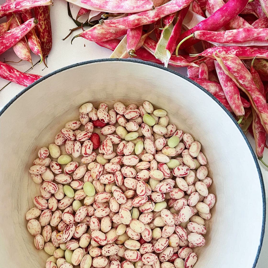 Summer Brothy Beans with Chili and Garlic