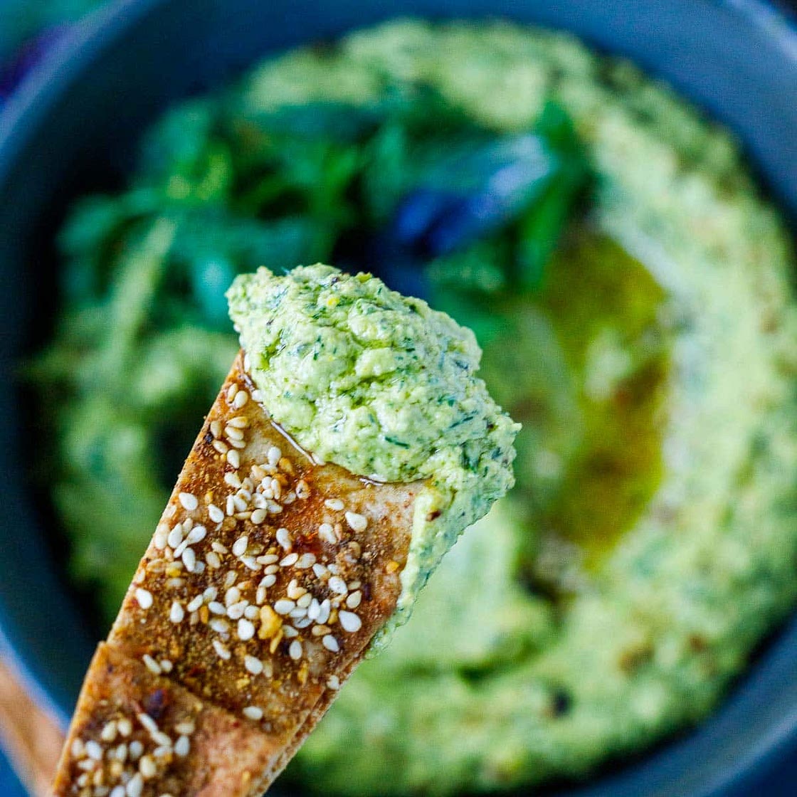 Zucchini Dip Recipe