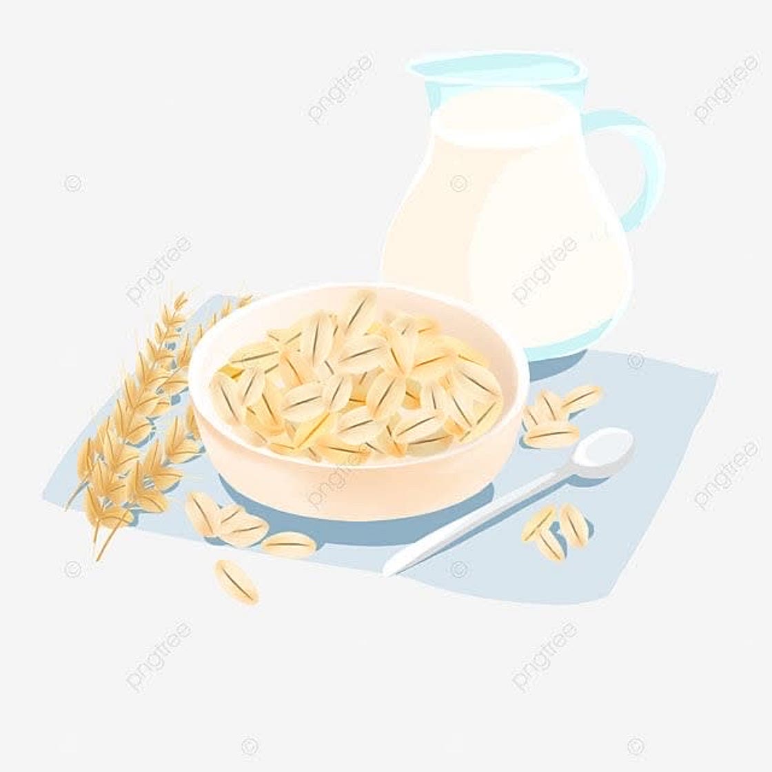 Protein Oatmeal 