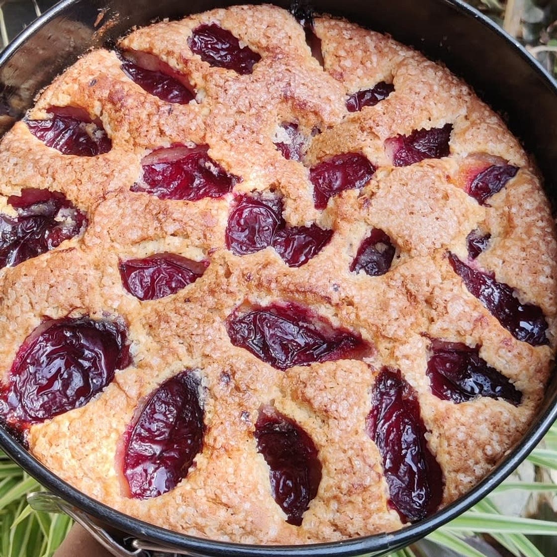 Late Summer Plum Cake