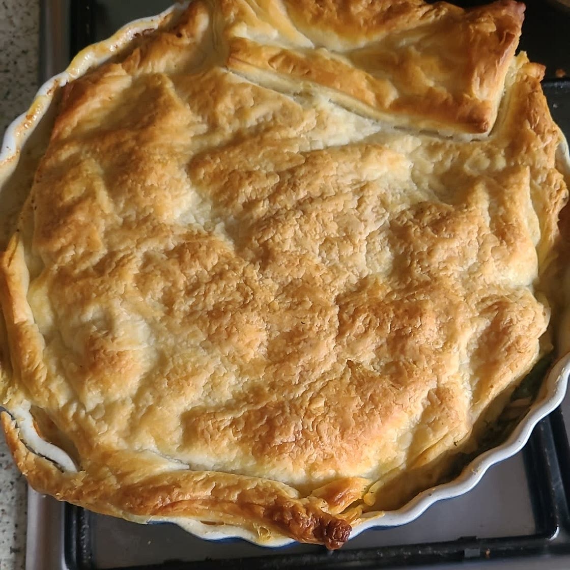 Chicken Leek and bacon pot pie