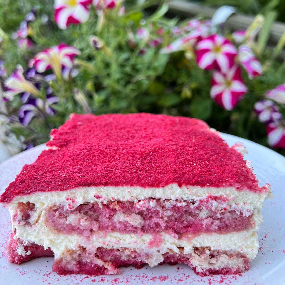 Raspberry Tiramisu