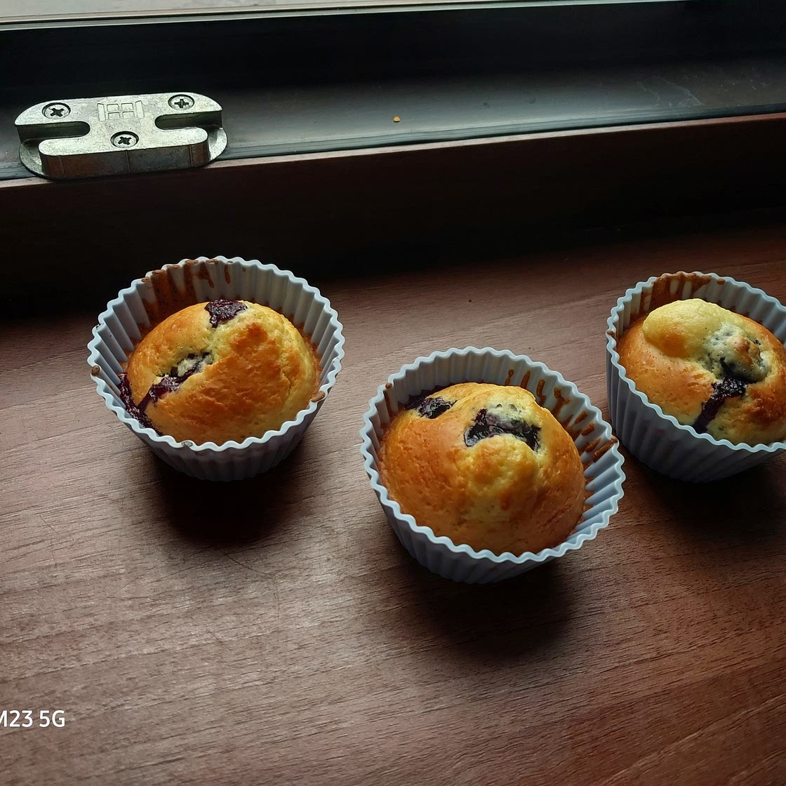 Protein muffins
