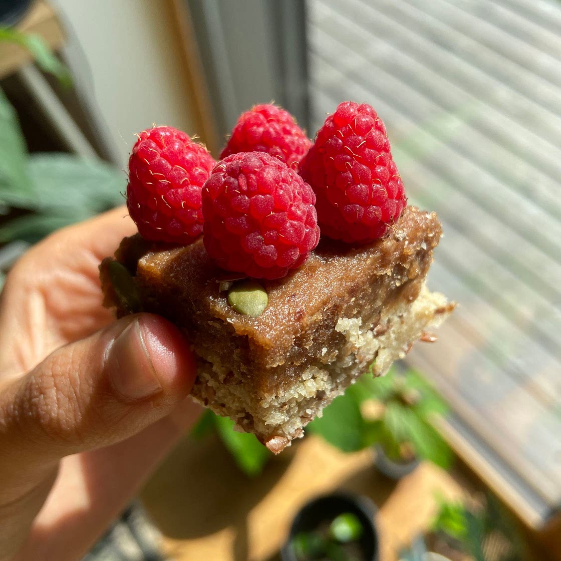 Vegan date bars