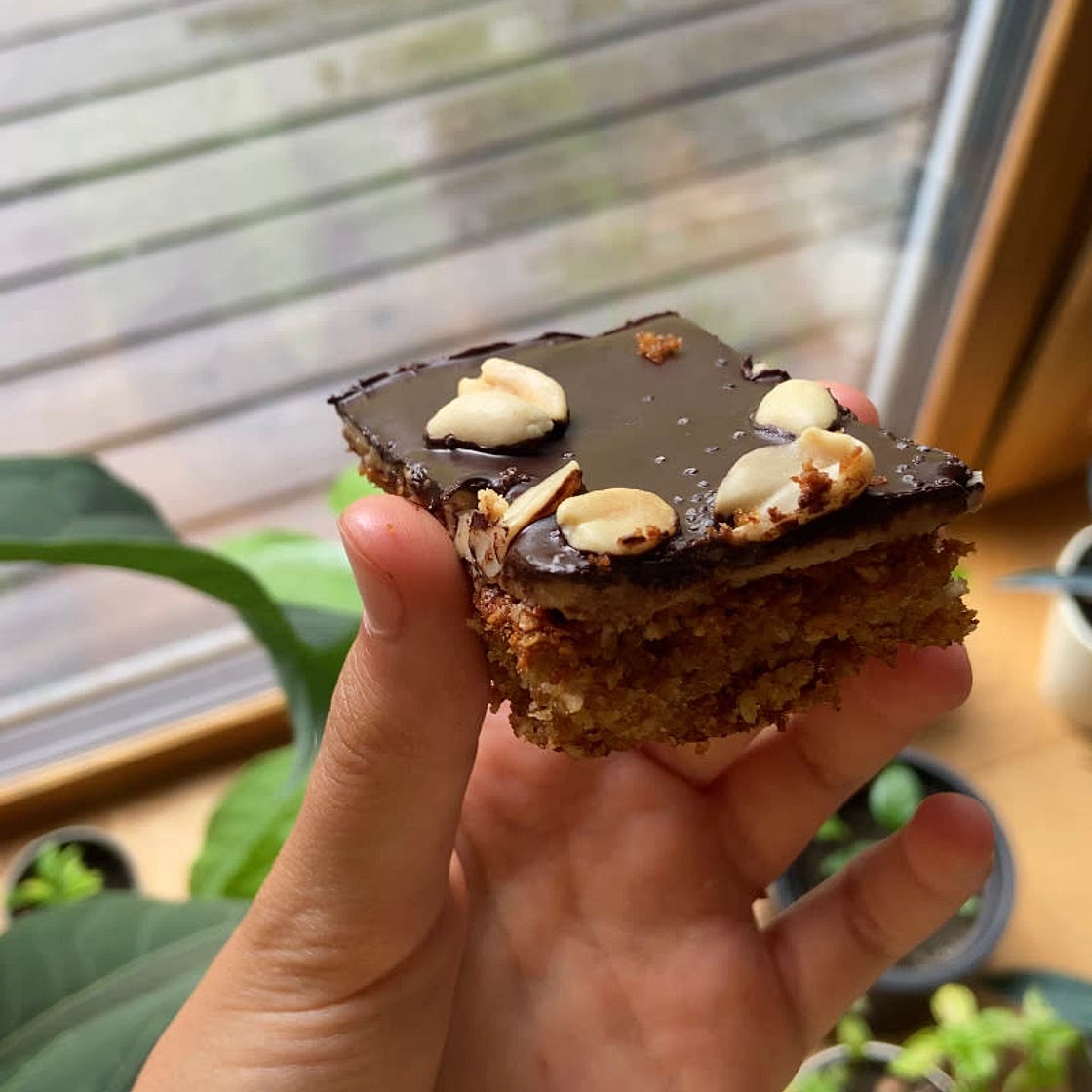 CHOCOLATE PEANUT BUTTER OATMEAL BARS 🥜🍫✨
