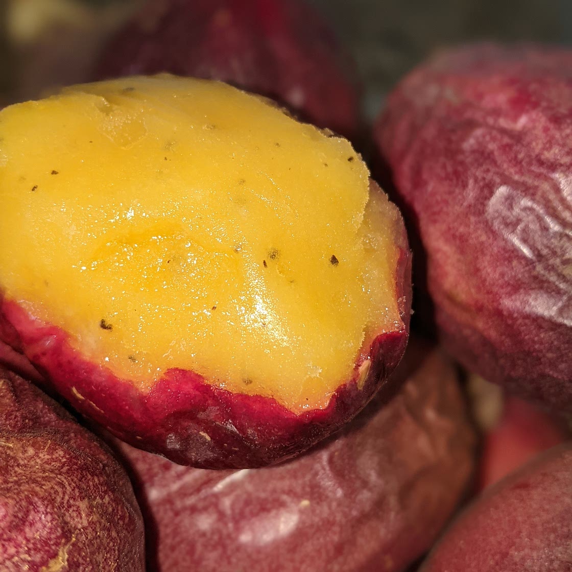 Passionfruit Sorbet