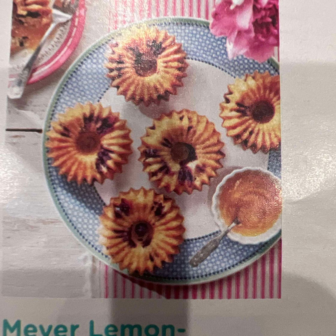 Meyer Lemon Blueberry Cake 
