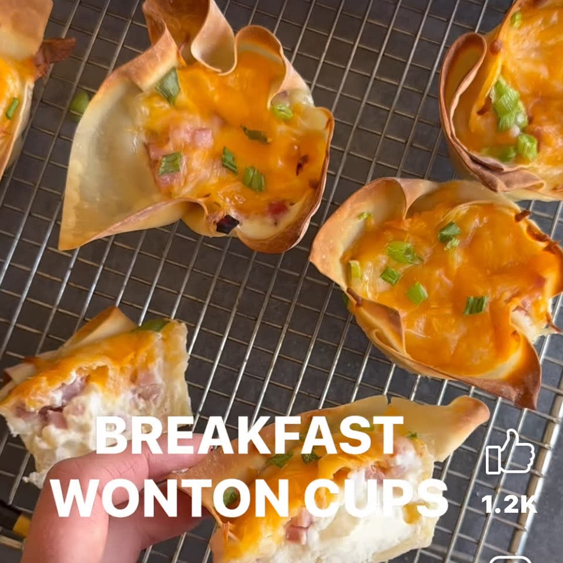 Wonton Breakfast cups