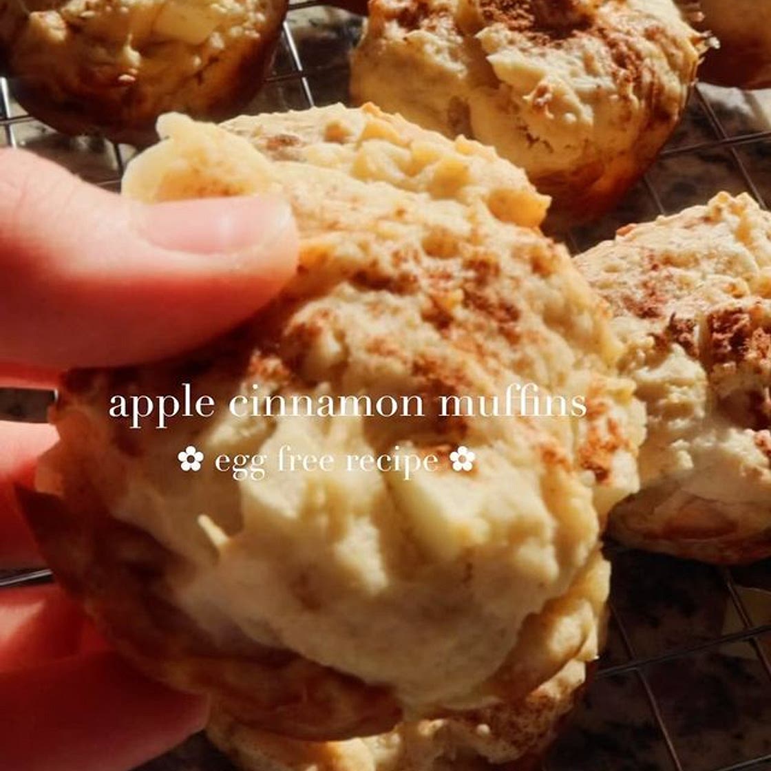 APPLE CINNAMON MUFFINS