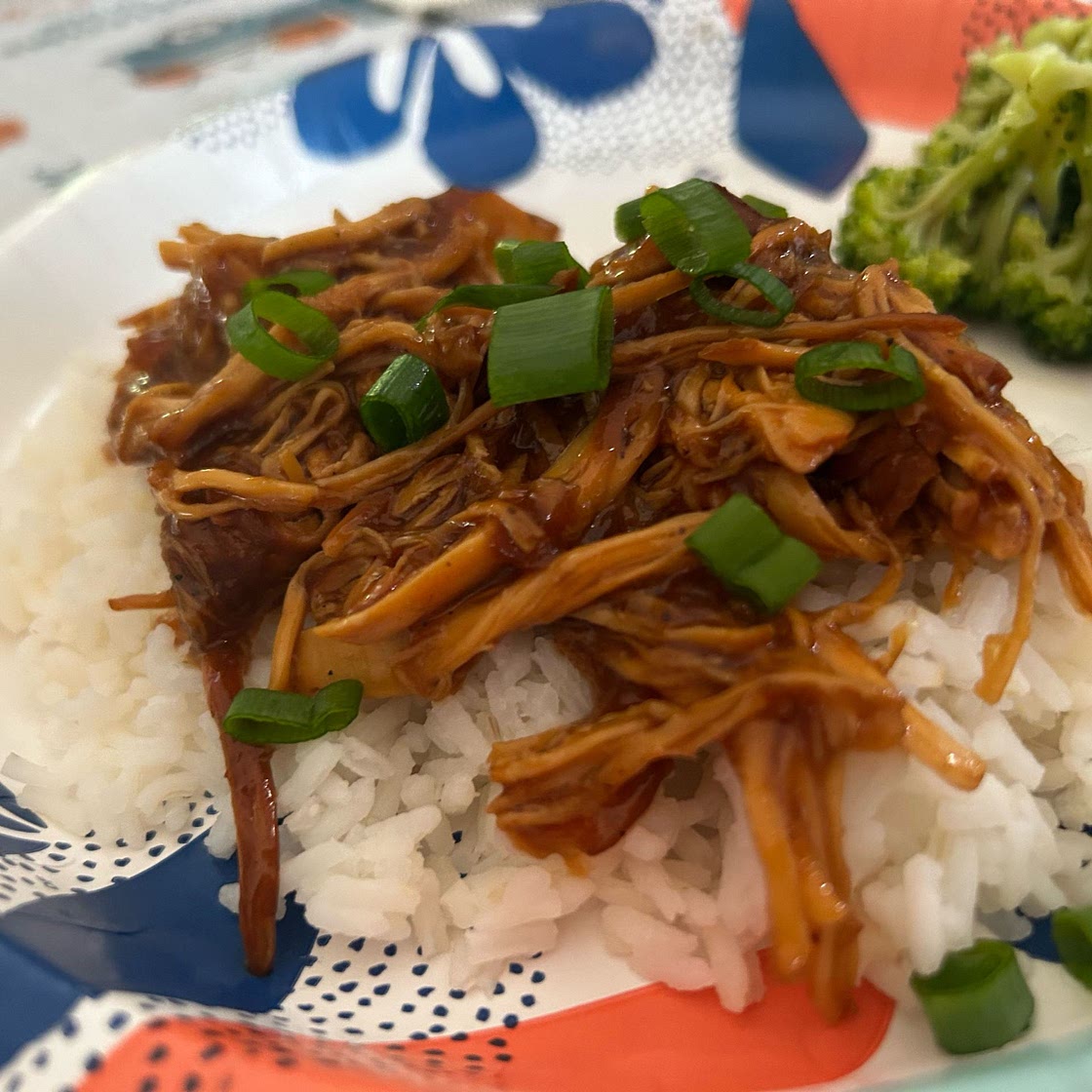 Slow Cooker Teriyaki Chicken