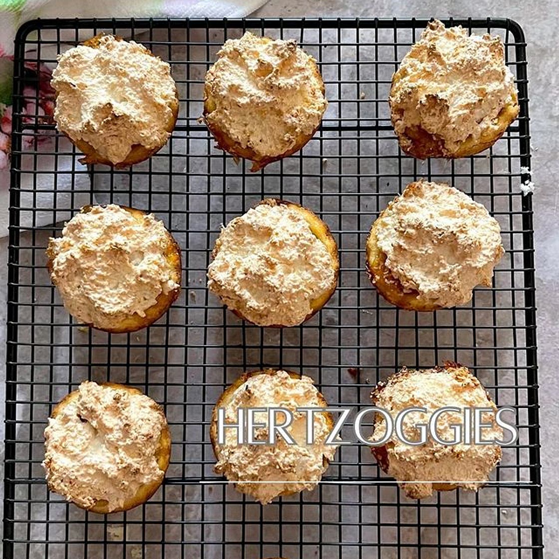 Hertzoggies