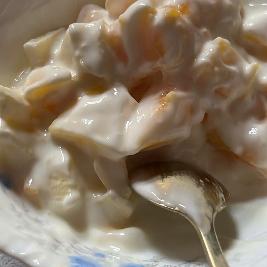 Fruit Yogurt 