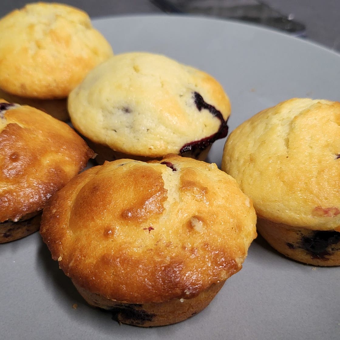 Blueberry Muffins/Bread
