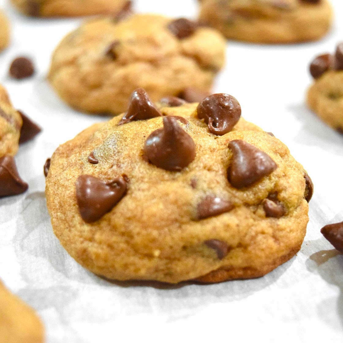 Pumpkin Chocolate Chip Cookies