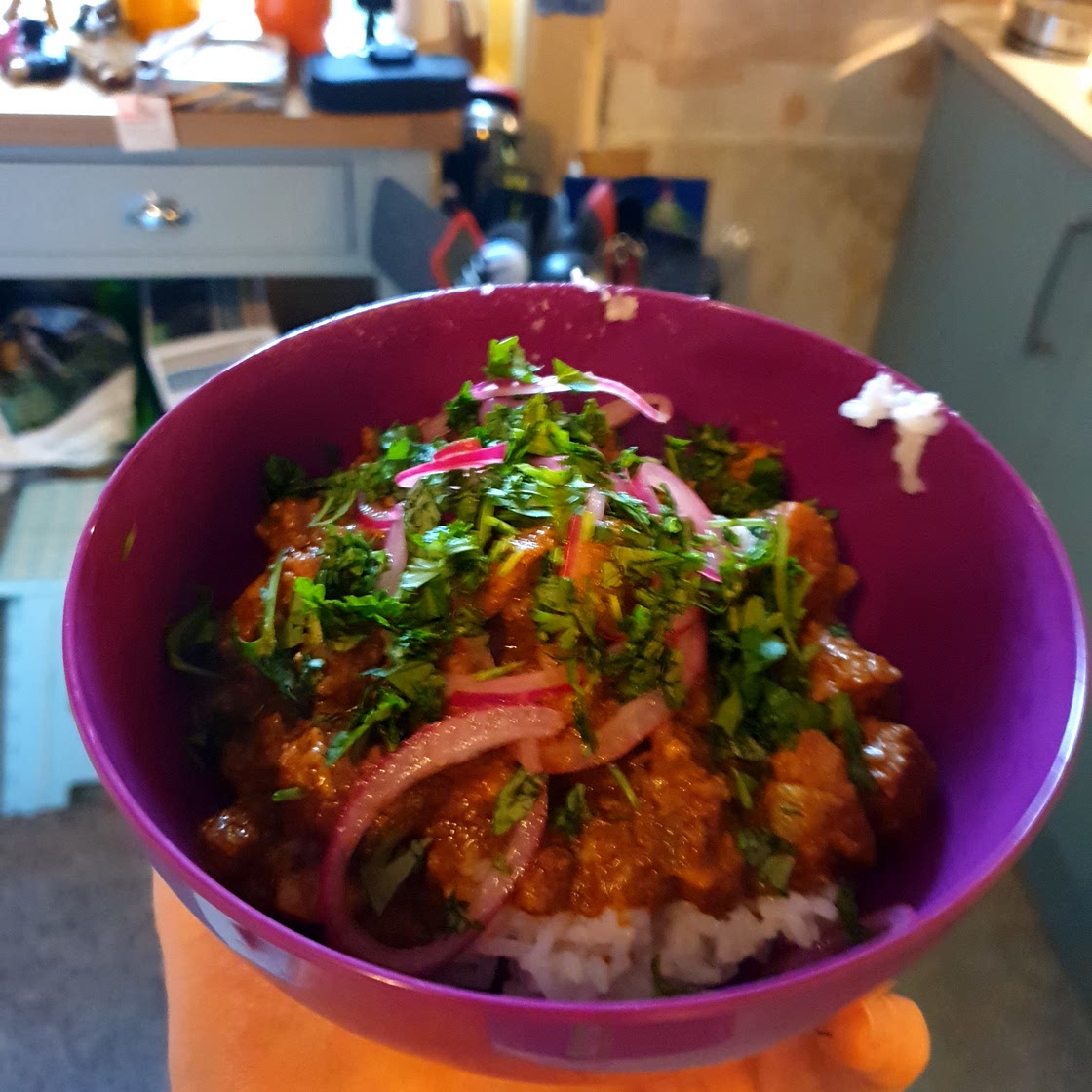 Fake ass sri lankan pork curry