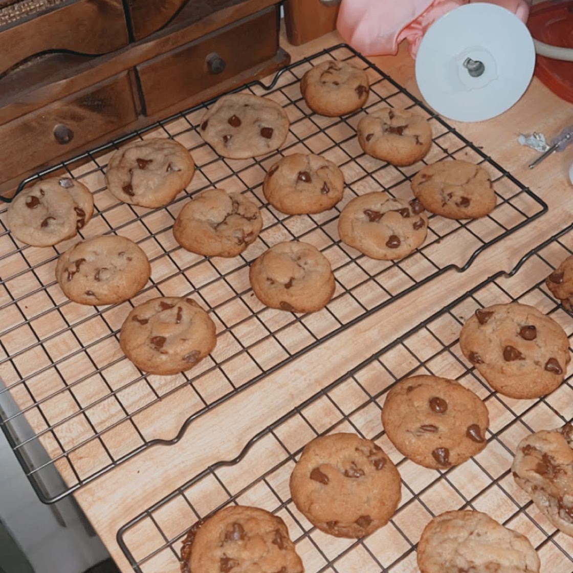 chocolate chip cookies
